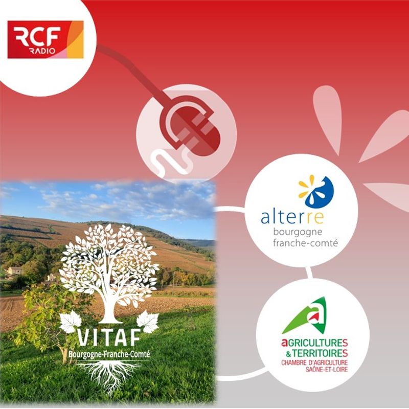 🎙️ Qu'est ce que la vitiforesterie ? Réponse sur RCF !