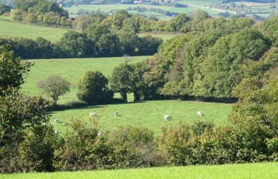 Bocage_Nievre ©David Michelin_web.jpg