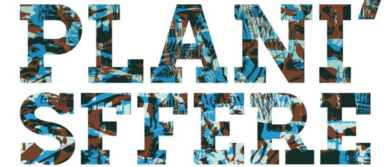 plani2.jpg