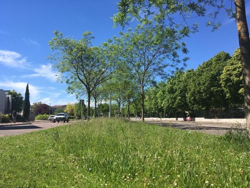 Espaces verts Dijon