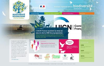 site SRB