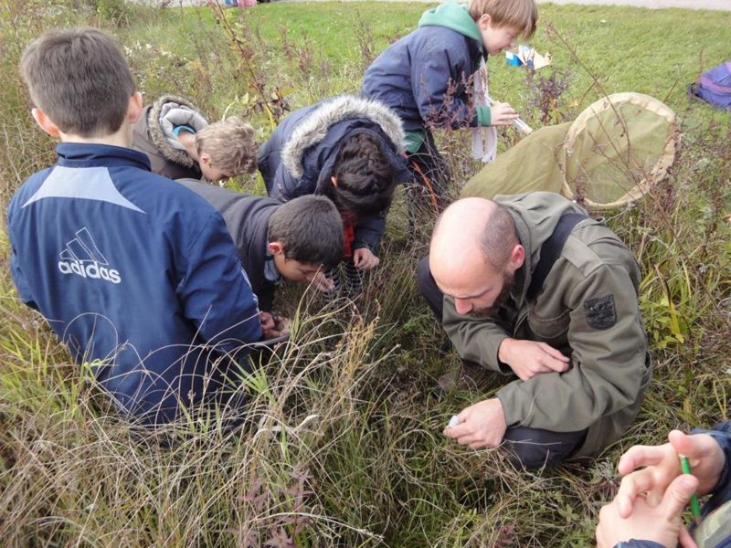 Observation d'insectes avec Cédric Foutrel du Conservatoire des sites naturels bourguignons