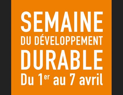 visuel SDD 2014.jpg