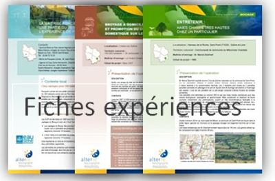 fiches experiences