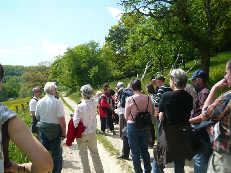 Actu stratégie biodiversité