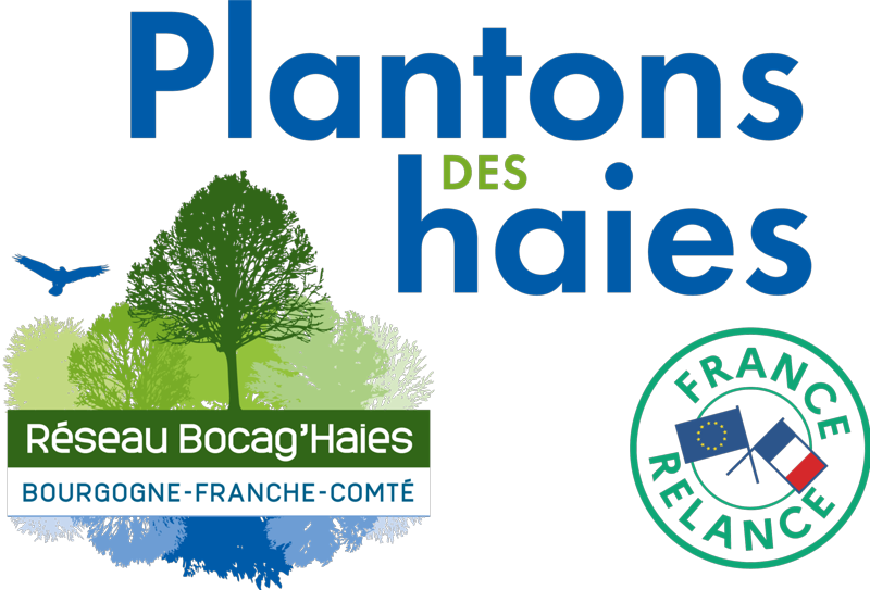 Programme " Plantons des haies ! "