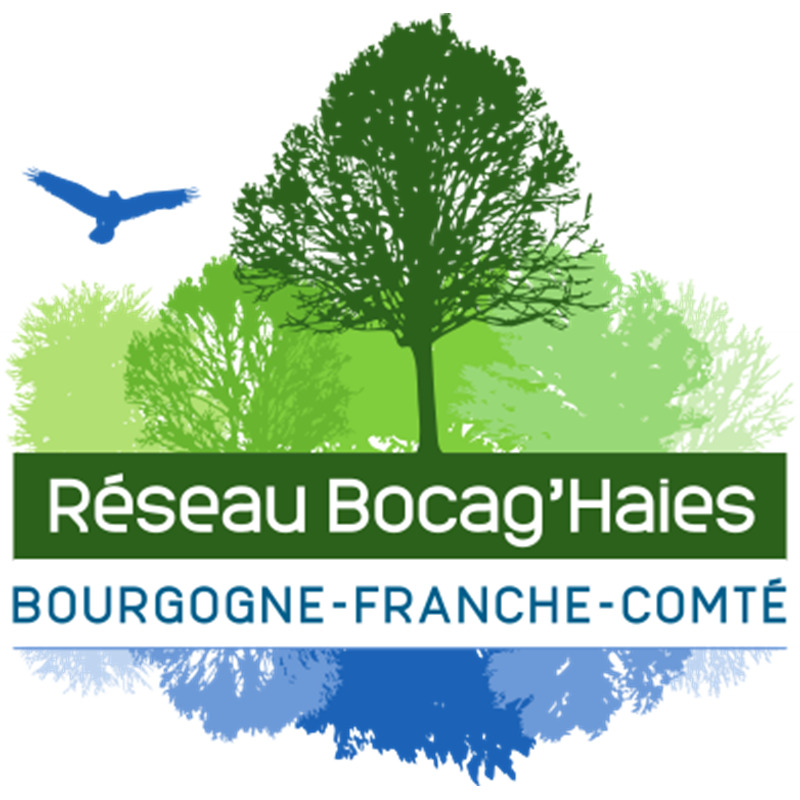 Réseau Bocag'haies
