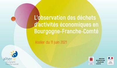 L'observation des DAE, atelier du 11 juin 2021