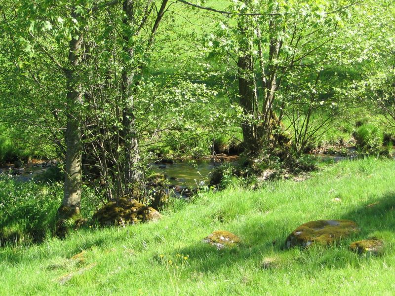ruisseau.jpg