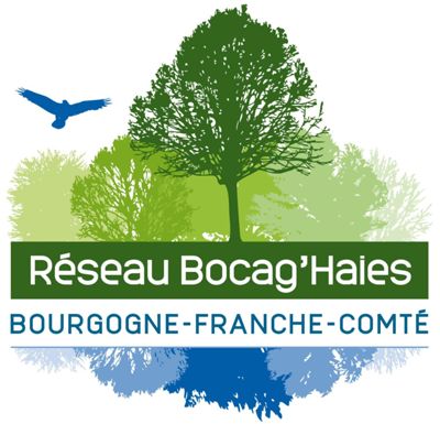 Réseau-bocag'haies.jpg