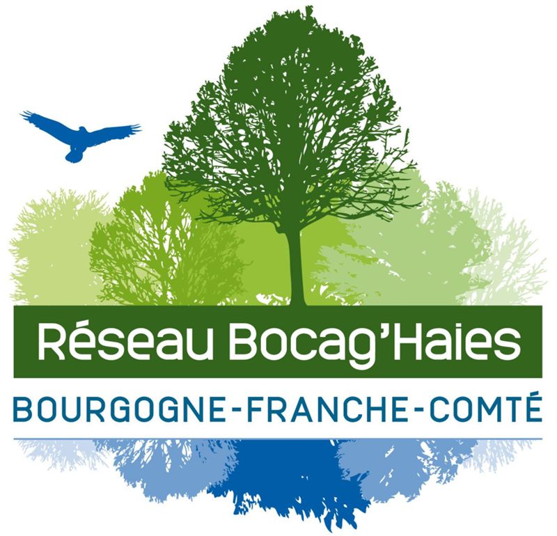 Réseau-bocag'haies.jpg