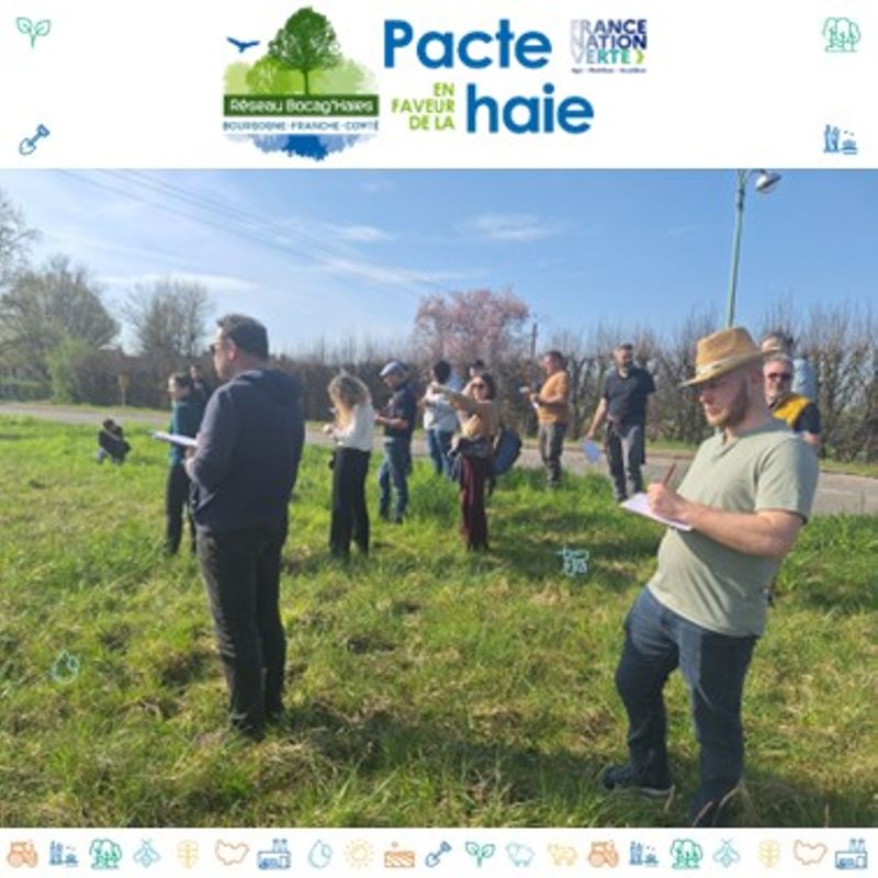 📅 Retour sur la formation "Les enjeux et modalités d'une gestion durable du réseau de haies champêtres"