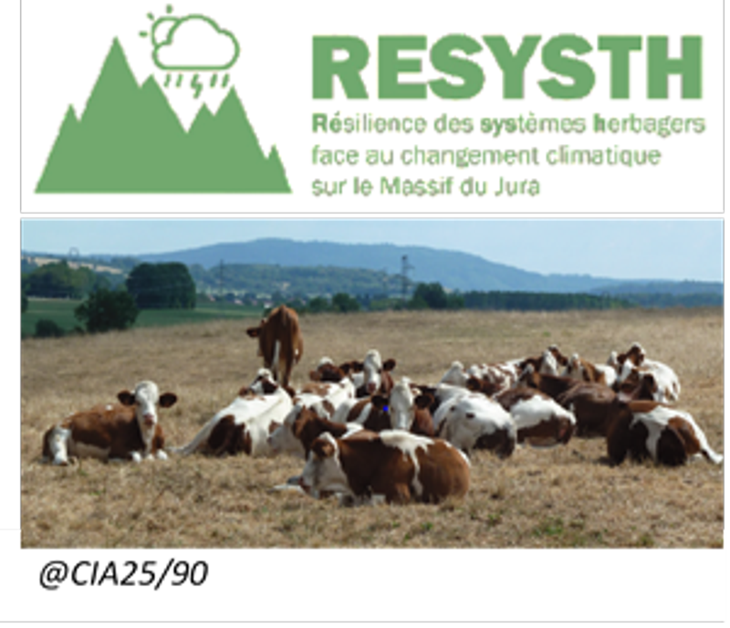 Le prochain webinaire "A l'action" aura lieu le jeudi 19 mai