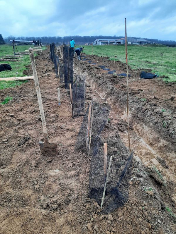 Le programme « Plantons des haies » a atteint son objectif
