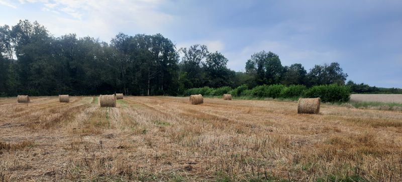 Journée de sensibilisation à la plantation de haies dans l’espace agricole