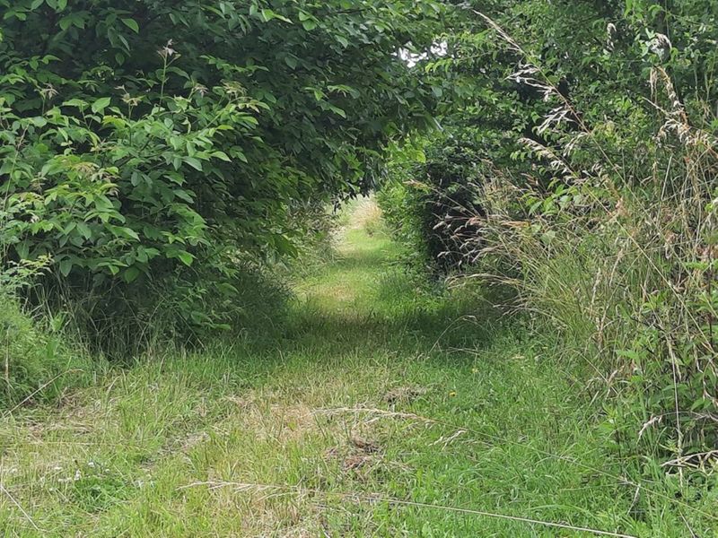 Retour sur les derniers travaux du programme "Plantons des haies"