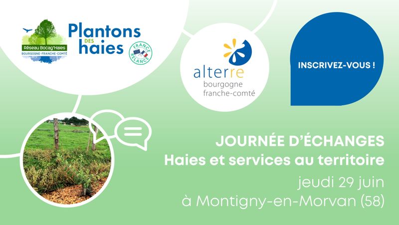 📣 Participez à la journée d’échanges : Haies et services au territoire 🌱💚