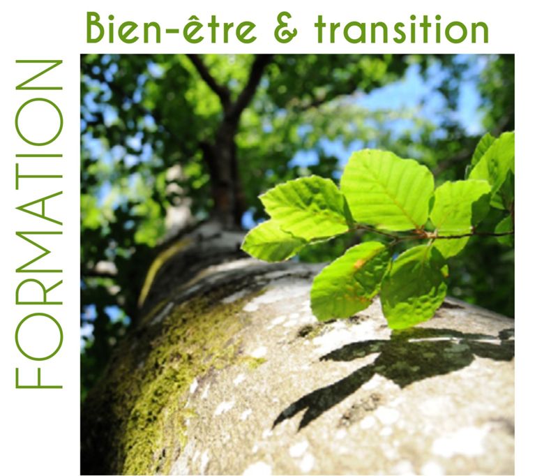 Formation « Bien-être et transition » les 1er & 2 février 2024 à Dijon