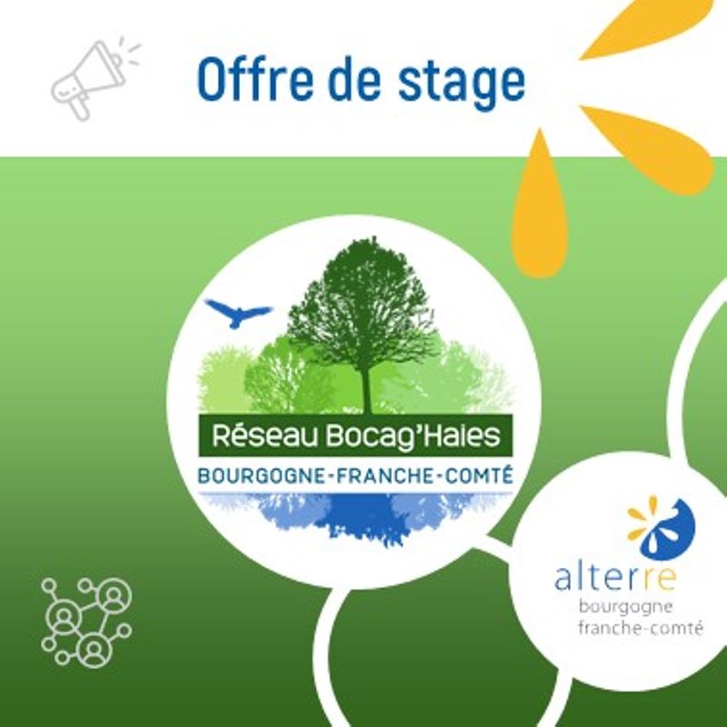 🤝 Offre de stage à Alterre