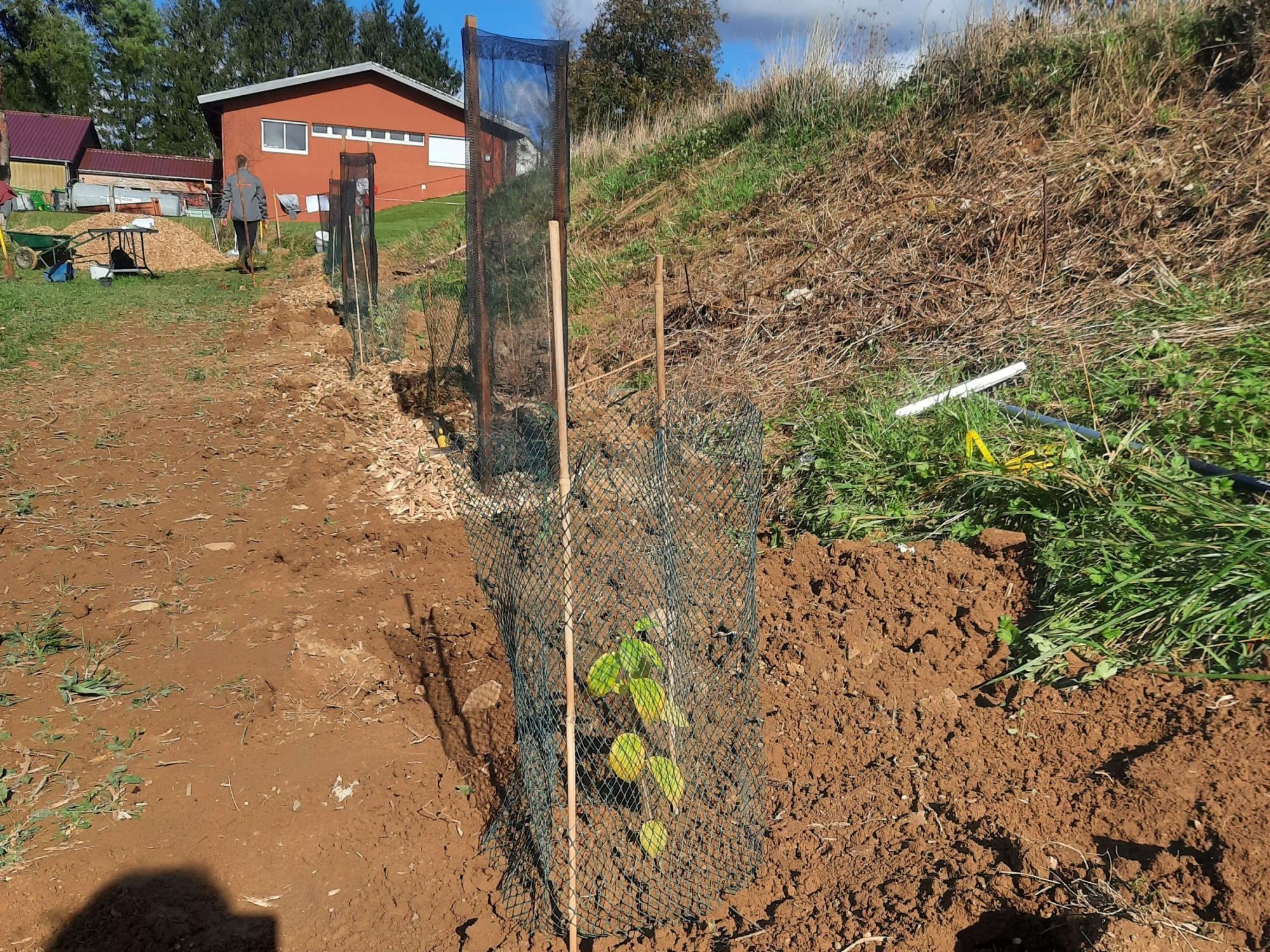 Un guide interactif sur les outils de financements de plantation de haies