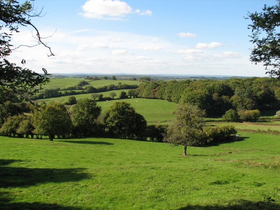 BOCAGE ©David Michelin.jpg