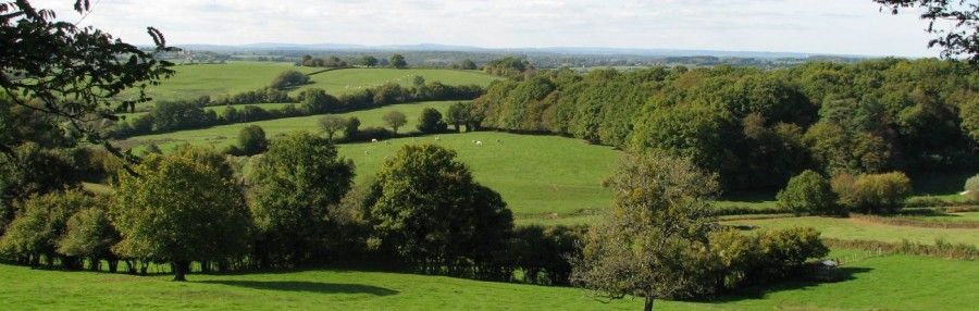 Bocages. Crédit photo : David Michelin