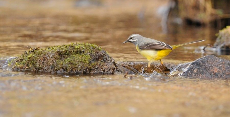 Crédit photo : Ludovic Jouve