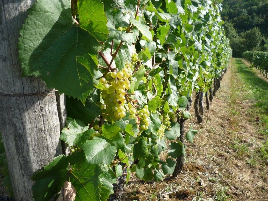 © Stéphanie Marquet - Alterre