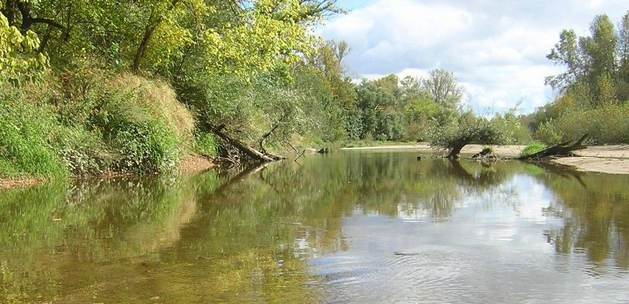 Crédit photo : Conservatoire des sites naturels bourguignons