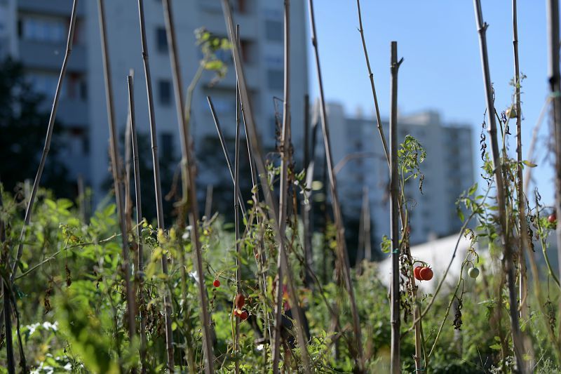 Santé-environnement