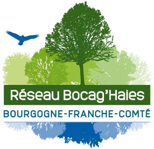 Réseau-bocag'haies-petit.jpg