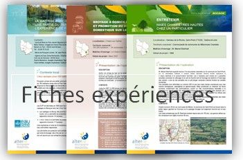 fiches experiences