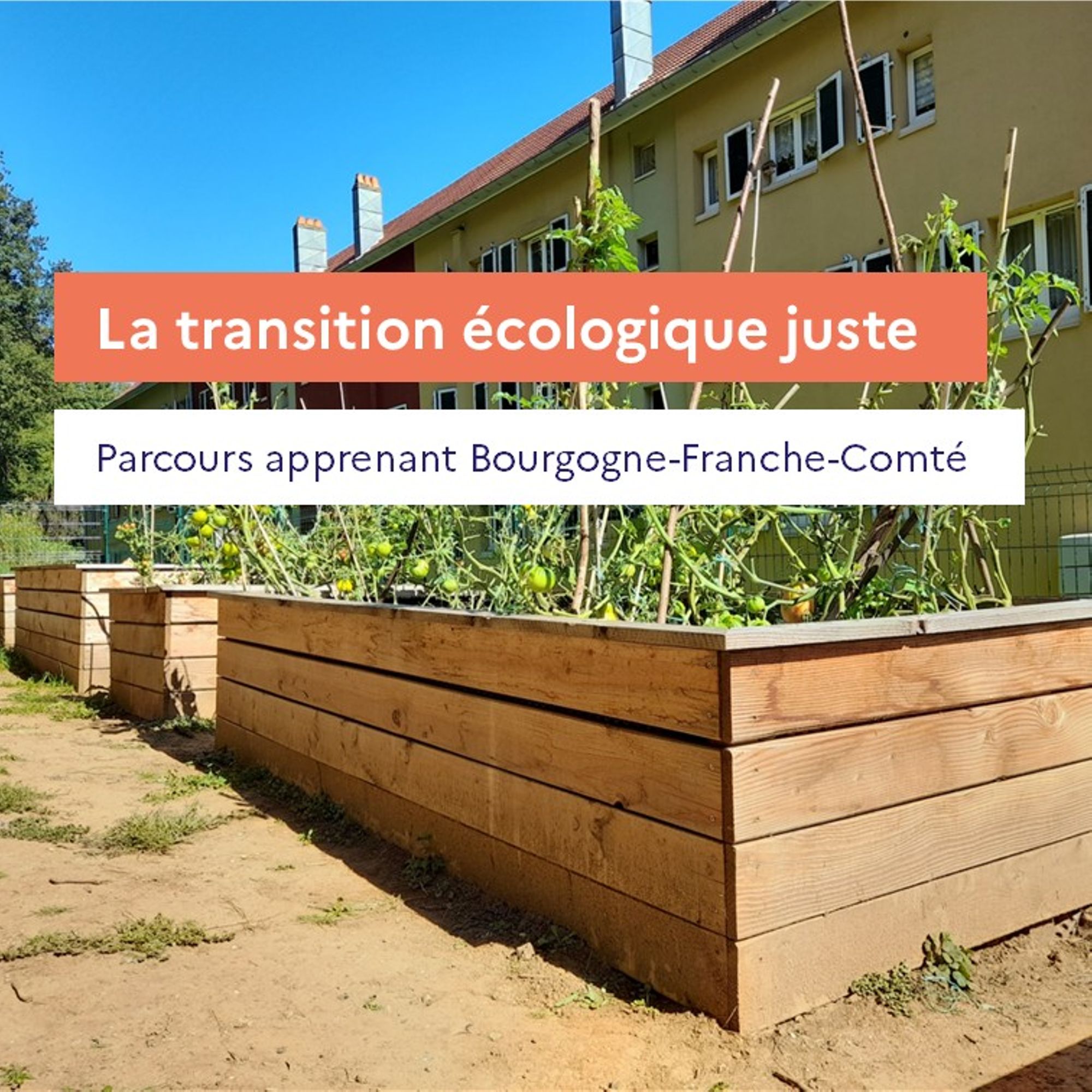Transition écologique juste - Parcours apprenant