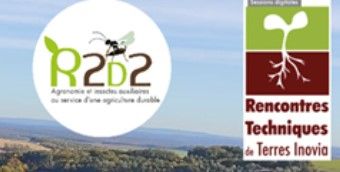 Webinaire « Gestion agroécologique des ravageurs en grandes cultures : L’exemple original du projet territorial R2D2 » 