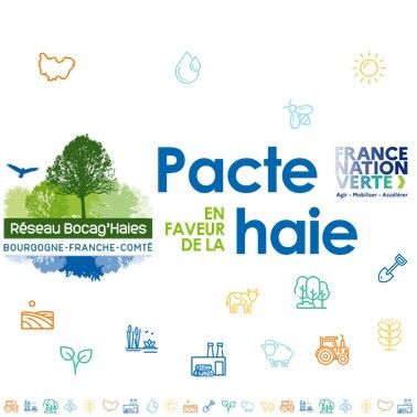 ℹ️ Dernières infos du Réseau Bocag'Haies et du programme "Pacte en faveur de la haie"
