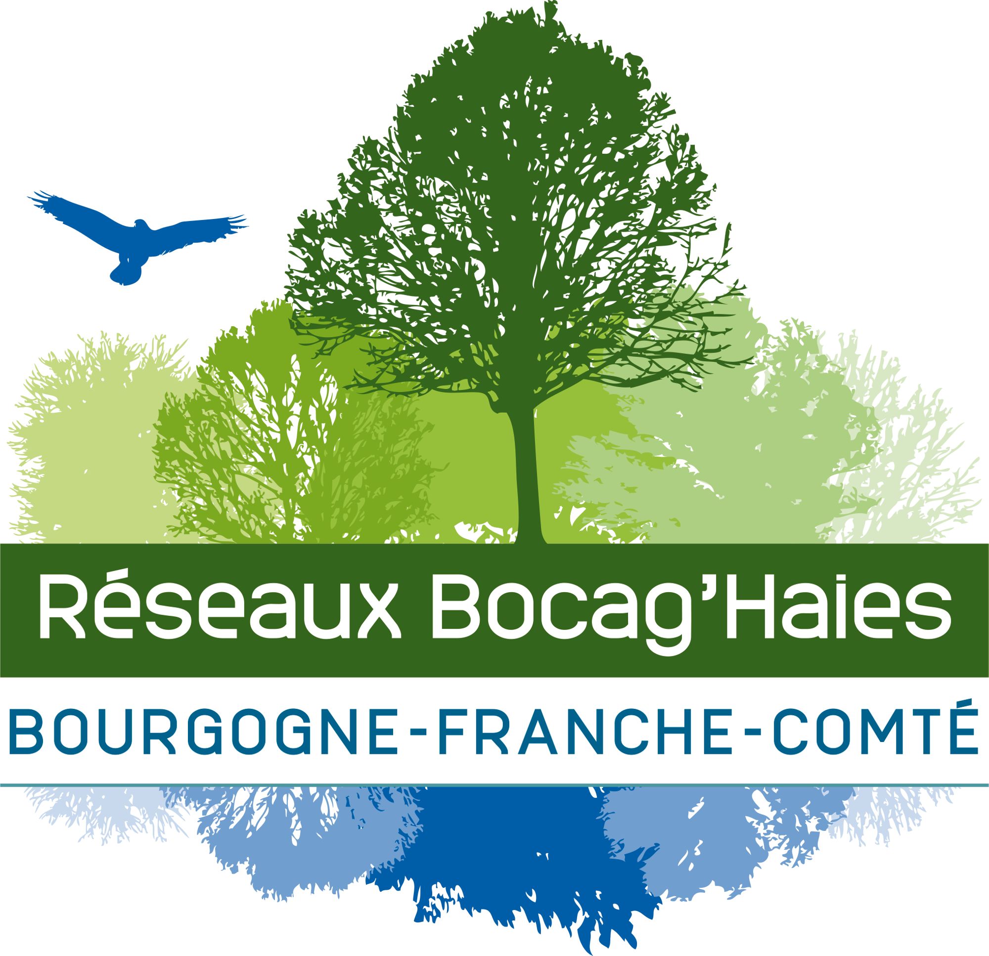 Réseau Bocag'haies